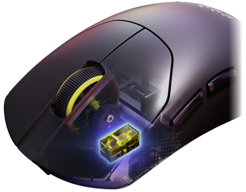 Partially translucent shot of mouse with mechanical switch shown