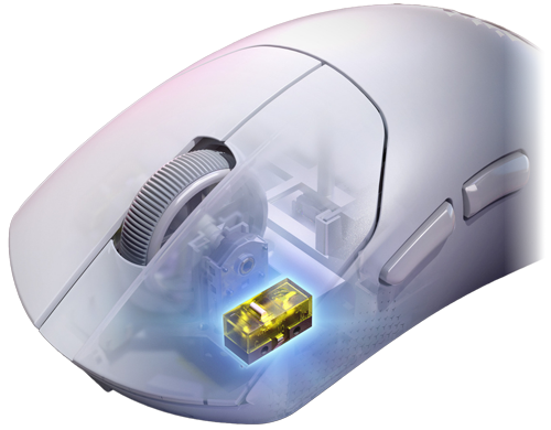 Partially translucent shot of mouse with mechanical switch shown