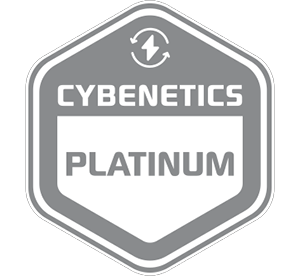 Cybernetics Platinum Logo