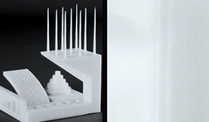 3D model with zoomed in section of print texture.