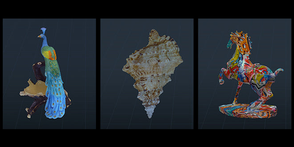 24 bit coloured scans of bird, shell and horse.