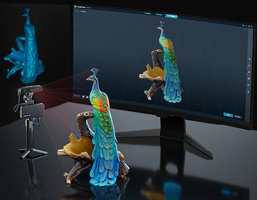 Exotic bird scan being shown in software