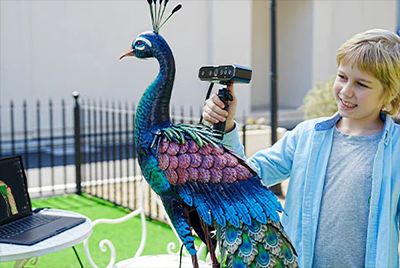 child outside scanning peacock statue