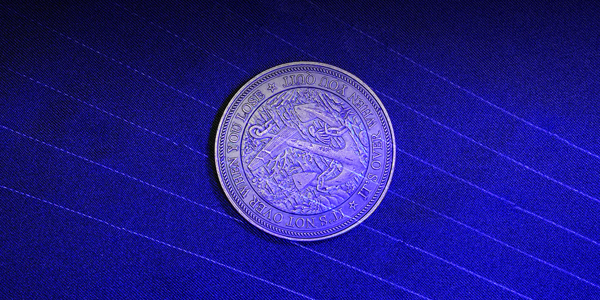 Face down coin with fine details.