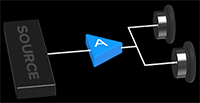 AMP
