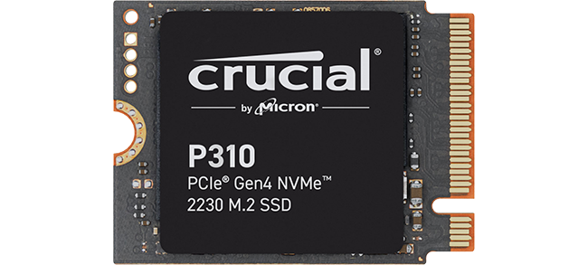 P310