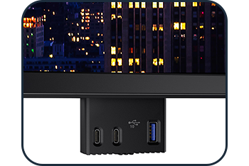 Close up image of the monitor ports