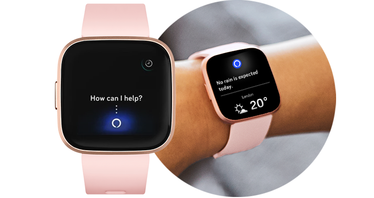 fitbit alexa watch