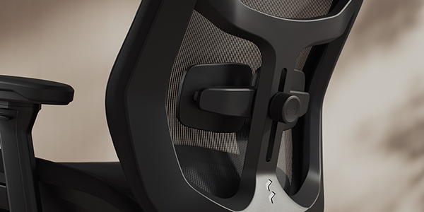Close-up of dual pad support on the lower backrest.