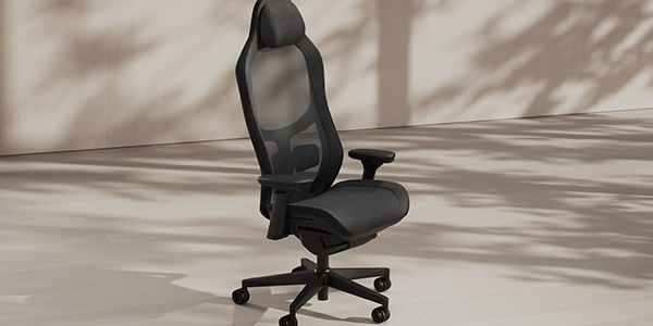 Refine 2 chair in cream room with tree shadows partially covering the walls and ground.
