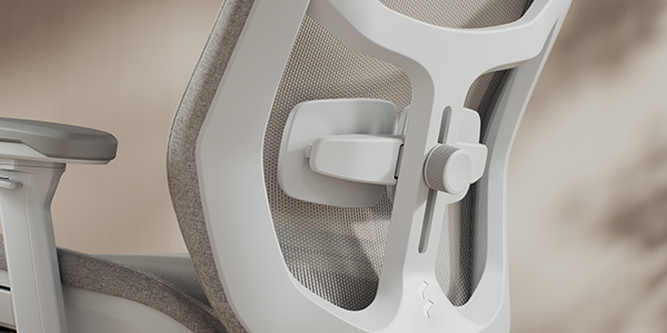 Close-up of dual pad support on the lower backrest.