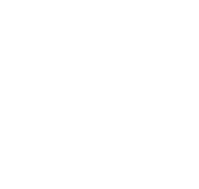 Computer Chip Icon