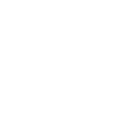 NVIDIA ConnectX Icon