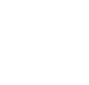 Computer Memory Icon