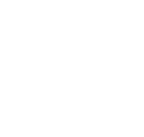 Speedometer Icon