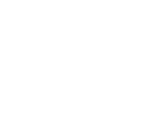 Software Icon