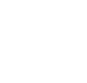 Networking Icon