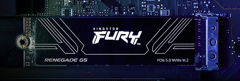 Shot of SSD in M.2 NVMe Slot on Motherboard