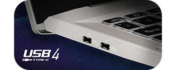 USB4® port