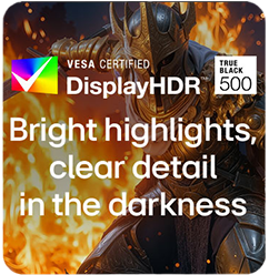 Fiery knight gameplay with VESA DisplayHDR True Black 500
