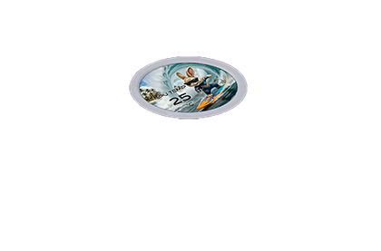 LCD overlay