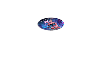 LCD overlay