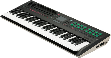 KORG Semi-Weighted Keys