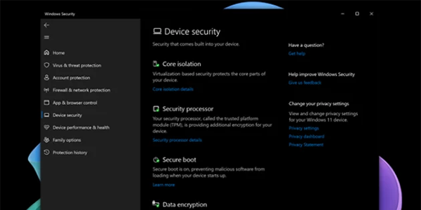 Windows 11 Pro device security application open to highlight premium security