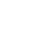 High speed icon.