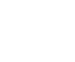 Advanced Security icon.