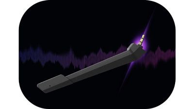 mic
