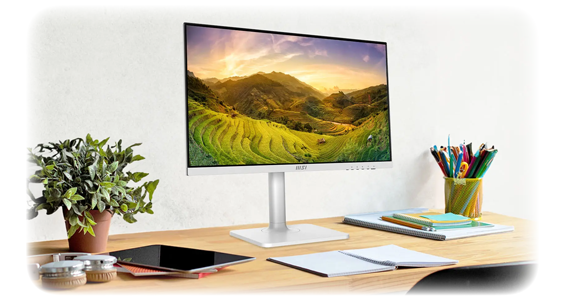 IPS Display