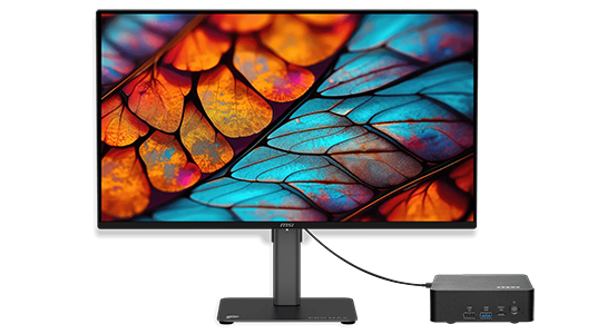 Power cable from PRO MAX monitor connected to MSI Mini PC.