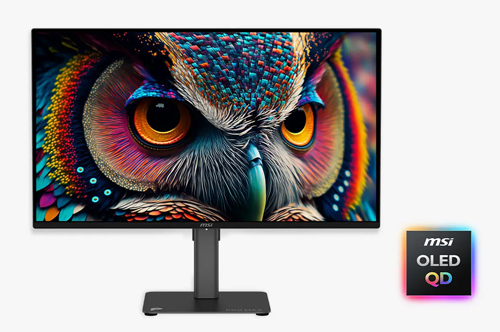 Monitor with multi-coloured owl on-screen with OLED QD icon beside.