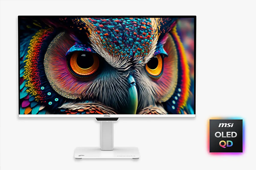 Monitor with multi-coloured owl on-screen with OLED QD icon beside.