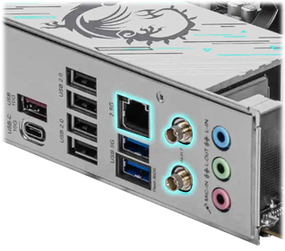 LAN