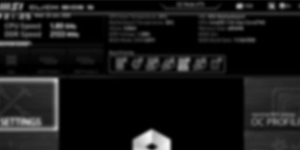 Blurred out BIOS interface to illustrate security