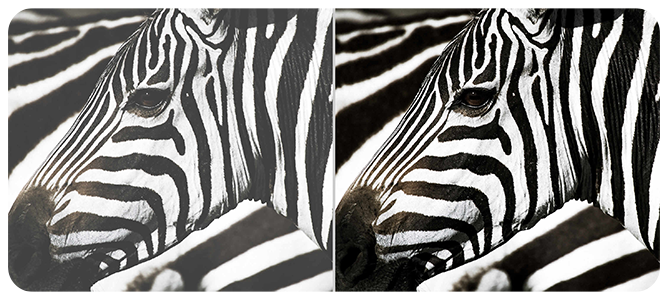 Superior Contrast