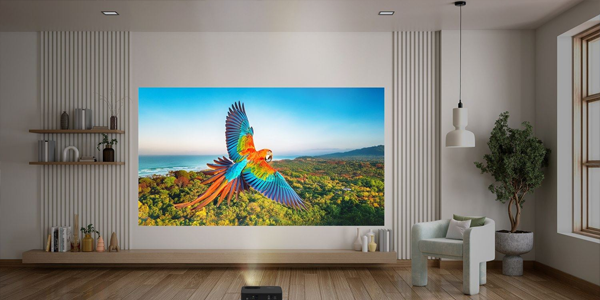 Photon Life PK31 atop a small table, projecting a large colourful image of a parrot on the wall