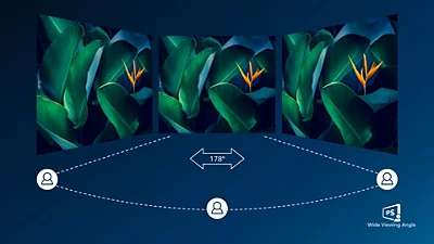 IPS Technology with display of viewing angles