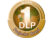 no 1 dlp