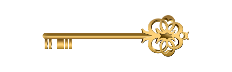 Security Option
