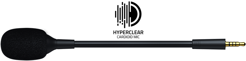 4K Recording