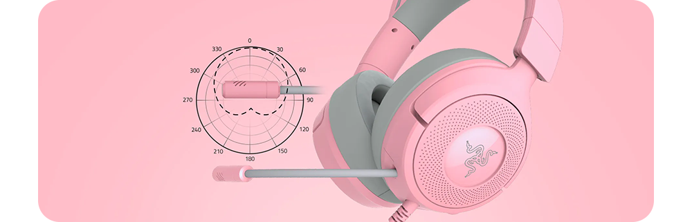Cardioid Mic