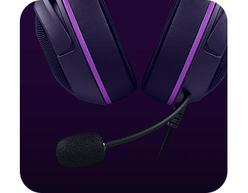 Cardioid Mic