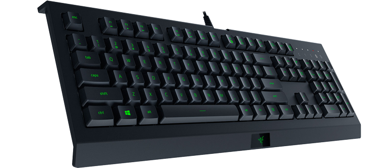 Razer Cynosa Lite Essential Keyboard