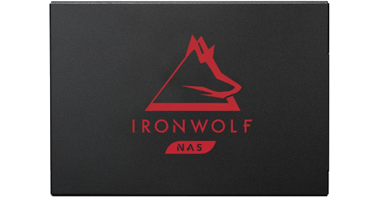 IronWolf 125 NAS SSD