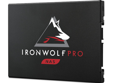 IronWolf Pro 125 NAS SSD