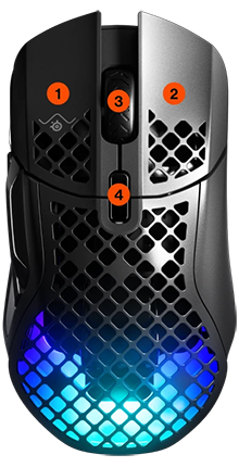 Annotated top of mouse