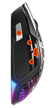 Annotated side of mouse